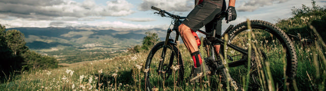 Mountain bikes